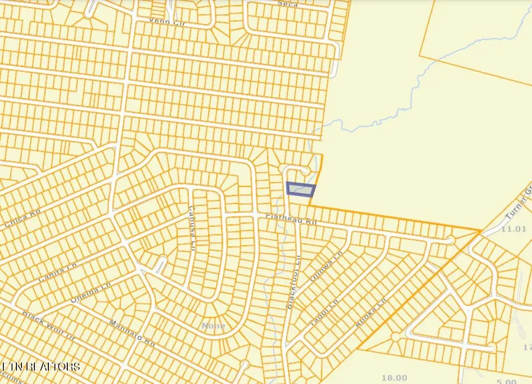 108 Flathead Circle, Crossville, TN 38572 - #1