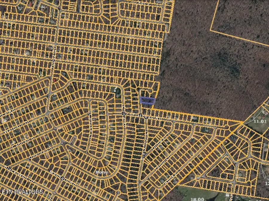 108 Flathead Circle, Crossville, TN 38572 - #2