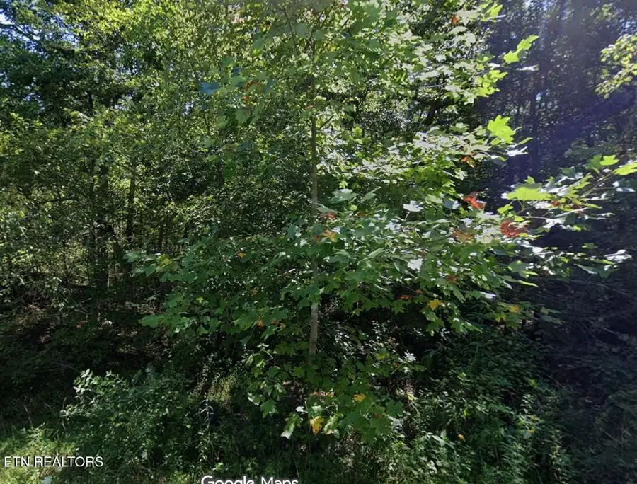 108 Flathead Circle, Crossville, TN 38572 - #3