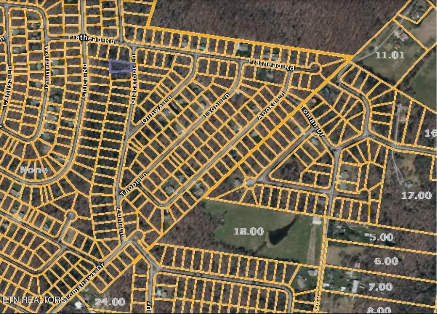 5002 Zuni Lane, Crossville, TN 38572 - #2