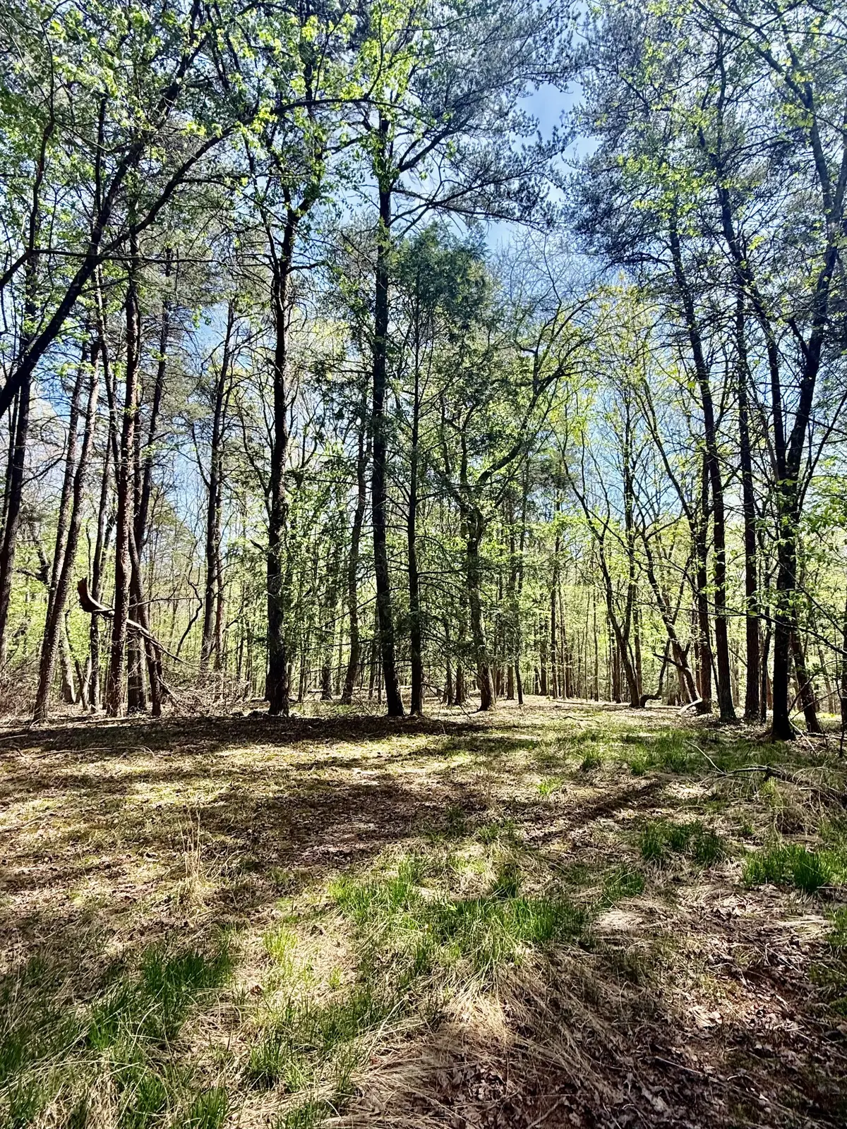 0 Timberwood Trace Lot 310, Monteagle, TN 37356 - #1