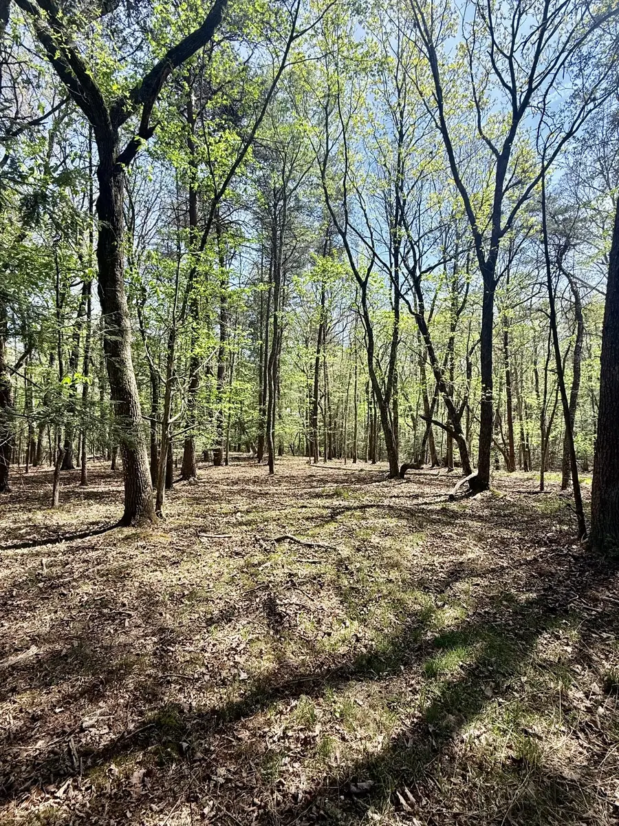 0 Timberwood Trace Lot 310, Monteagle, TN 37356 - #3