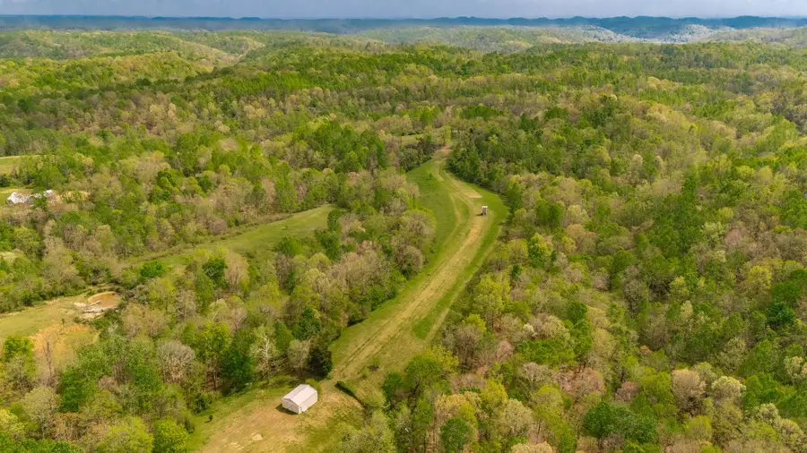 1103 Johnny Spears Rd, Westmoreland, TN 37186 - #3