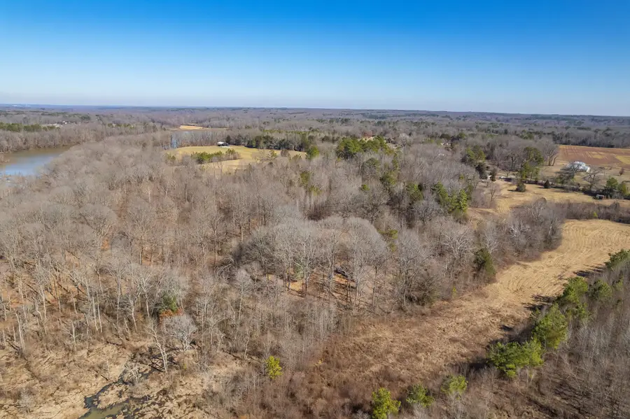 0 Medon Malesus Road, Medon, TN 38356 - #2