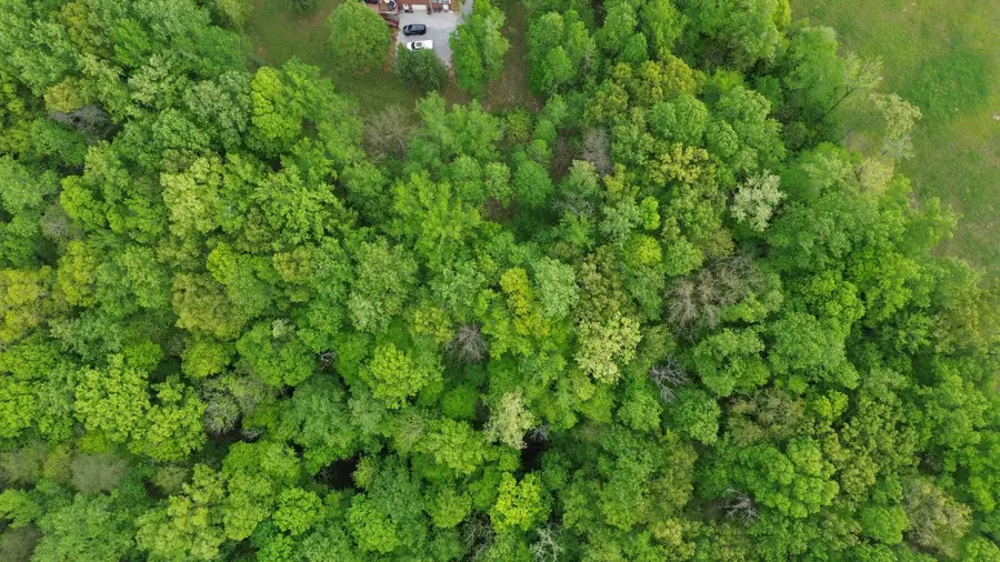 0 Jefferson Rd, Smithville, TN 37166 - #3