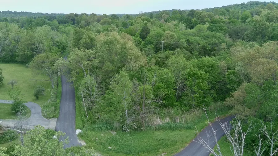 0 Lewistown Church Road, Princeton, KY 42445 - #3