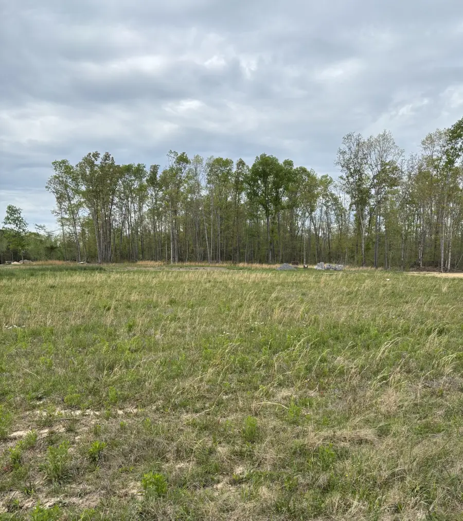0 Brinkley Road, Wartrace, TN 37183 - #2