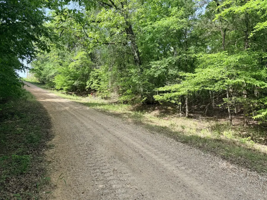 496 Gin Pond Drive, Saulsbury, TN 38067 - #2