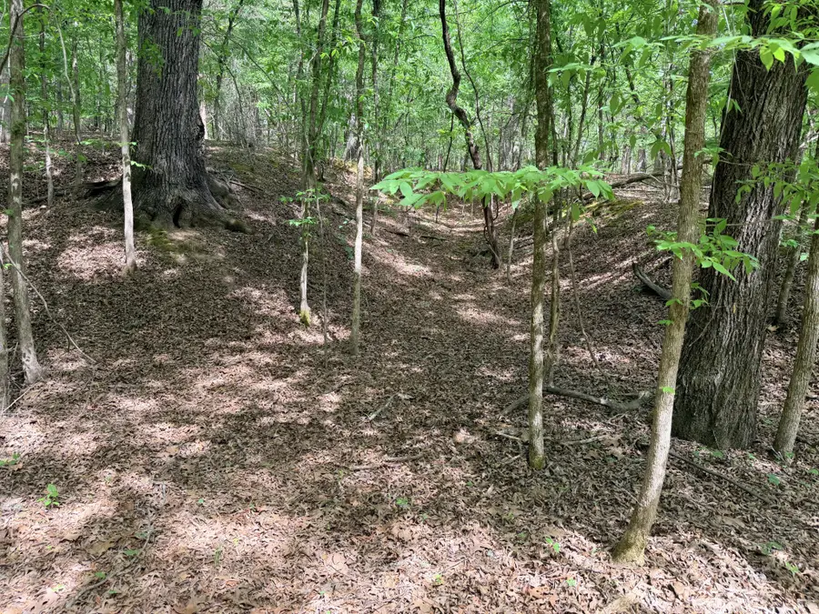 496 Gin Pond Drive, Saulsbury, TN 38067 - #3