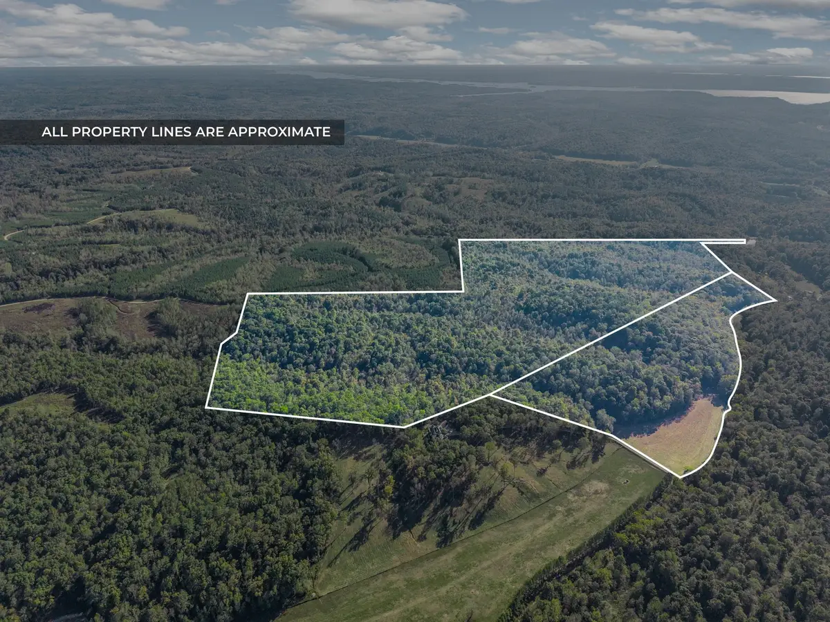 0 Cox Hollow, Dover, TN 37058 - #1