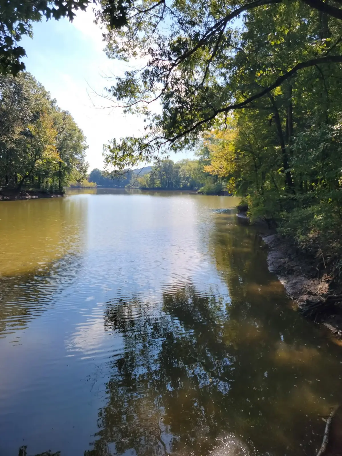 0 Shirley Bates Road, Clifton, TN 38425 - #1