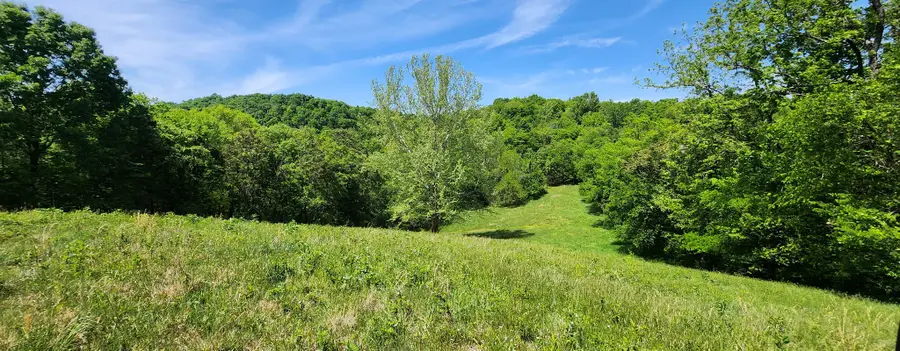 0 Lower Helton Rd, Liberty, TN 37095 - #2