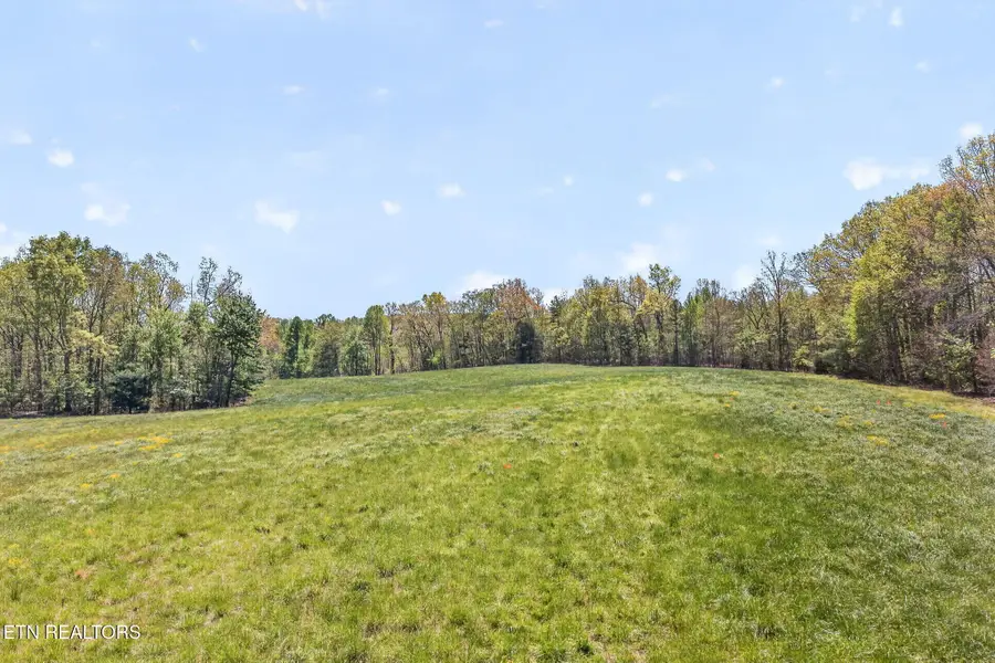 6 Smith Mountain Rd, Rockwood, TN 37854 - #3