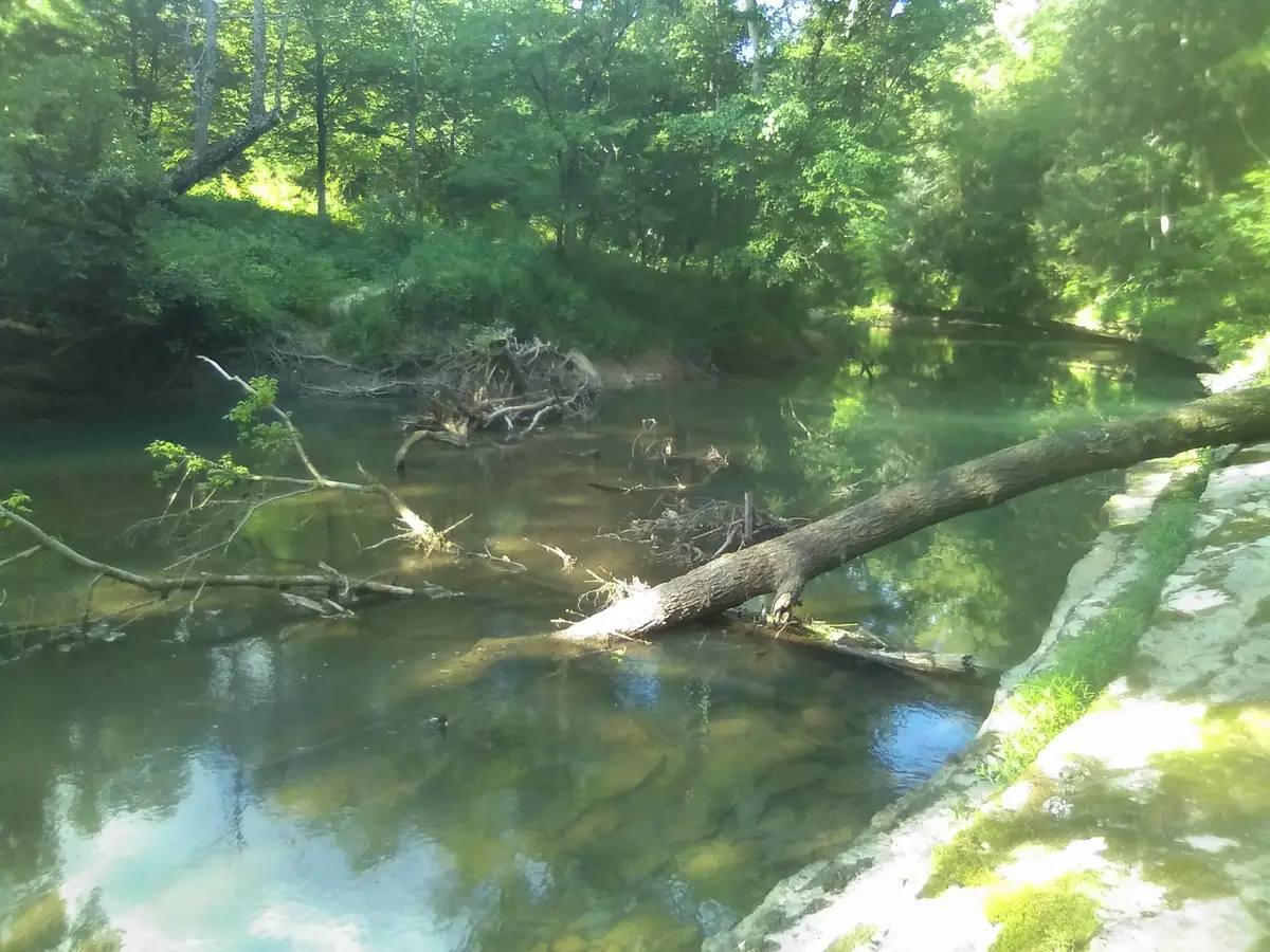 2359 Mack Floyd Rd, Sparta, TN 38583 - #1