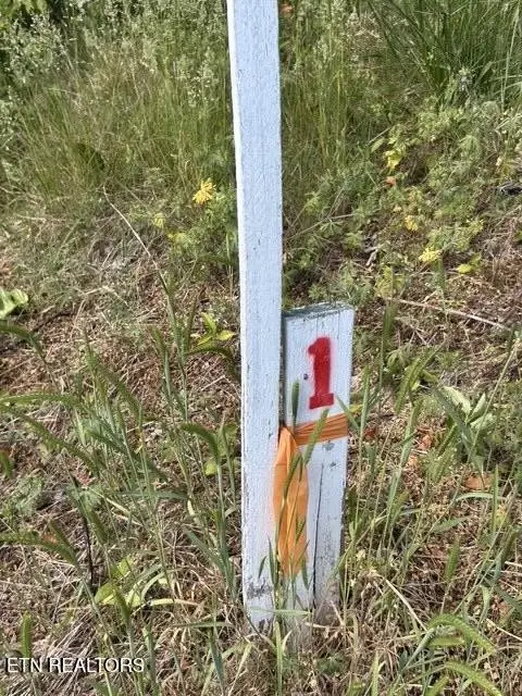 789 Smith Bend Lane, Gainesboro, TN 38562 - #3