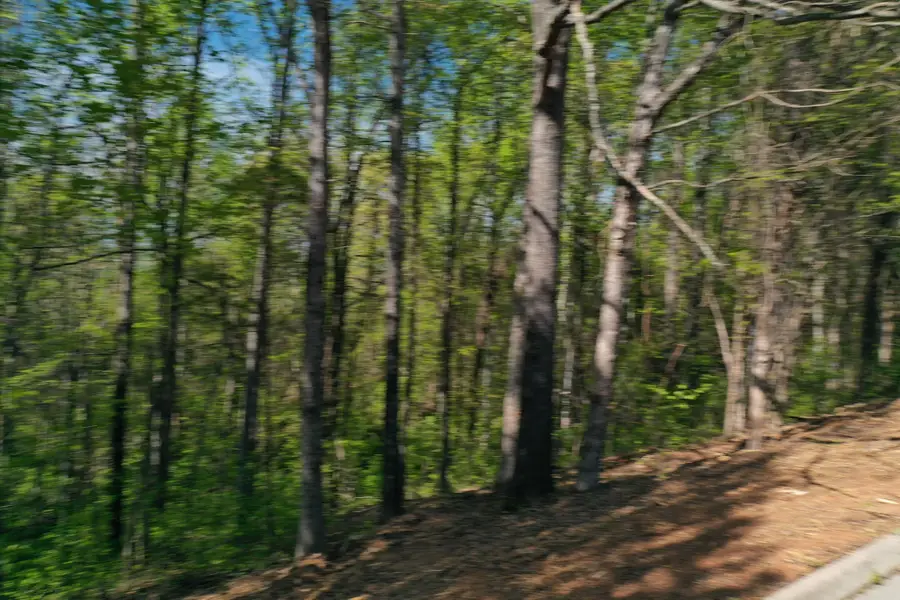 0 Elm Lane Lot 16 Lane, Sweetwater, TN 37874 - #3