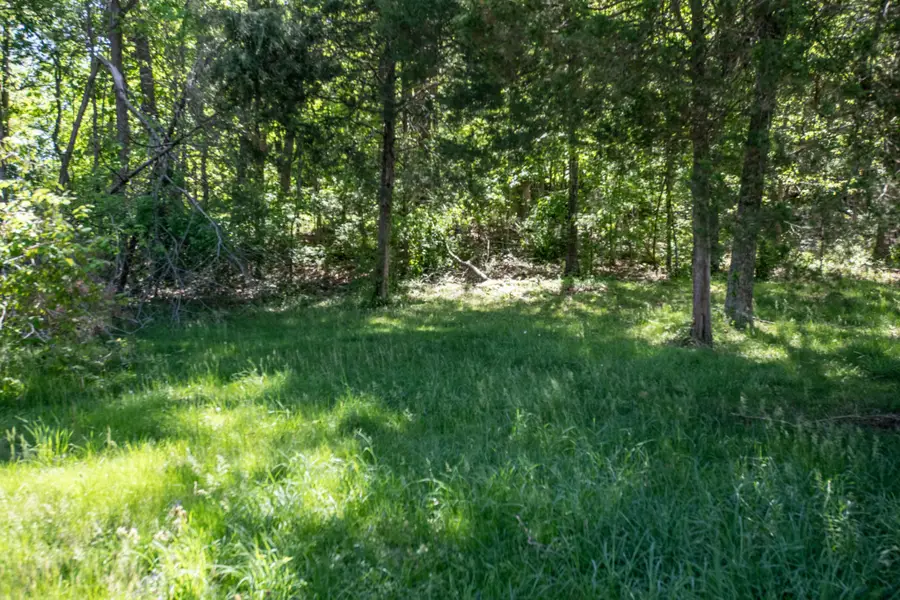 0 Creek Trail Dr, Whites Creek, TN 37189 - #3