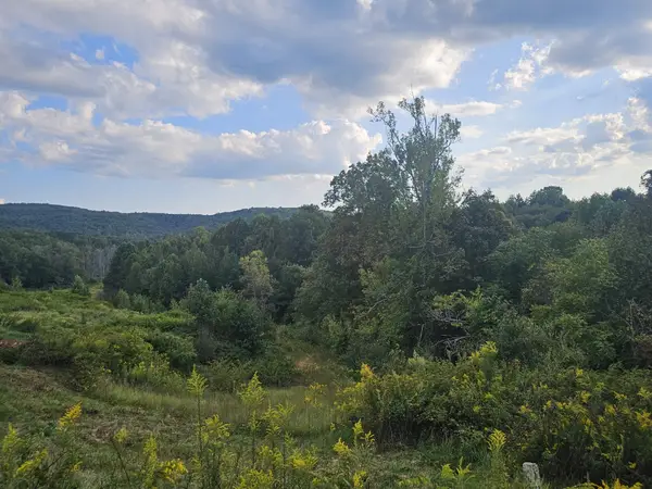 1970 Rock Ave, Palmer, TN 37365