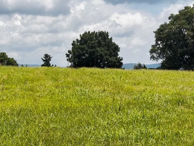 0 Old Holders Cove Rd, Winchester, TN 37398 - #1