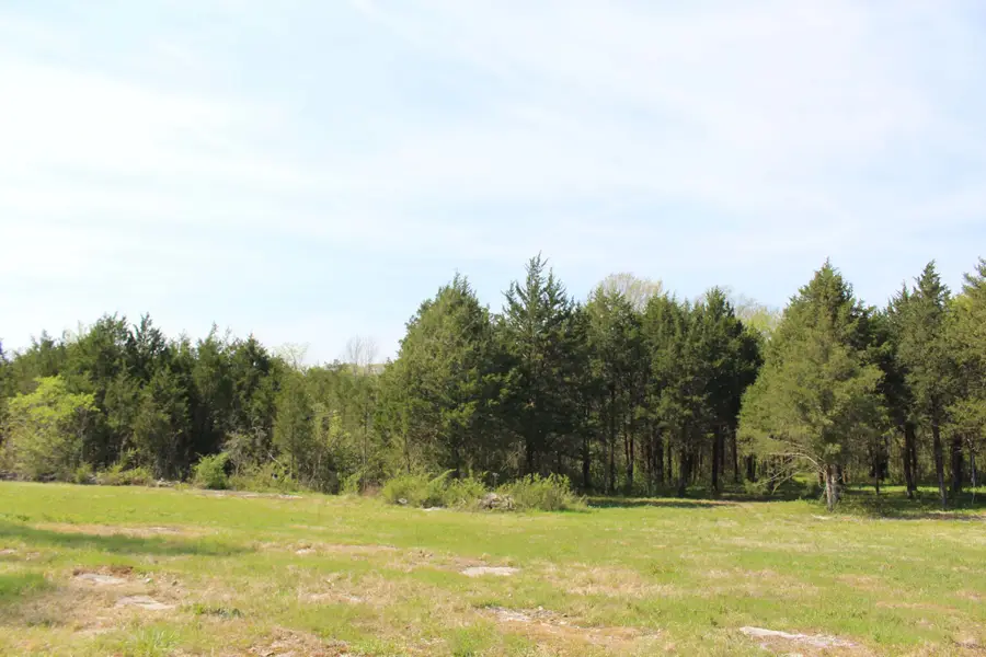 9651 Halls Hill Pike, Milton, TN 37118 - #3