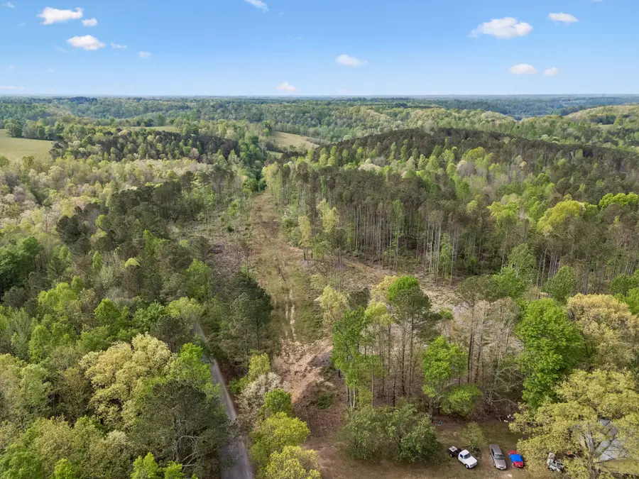 1 Pleasant Ridge Rd, Goodspring, TN 38460 - #3