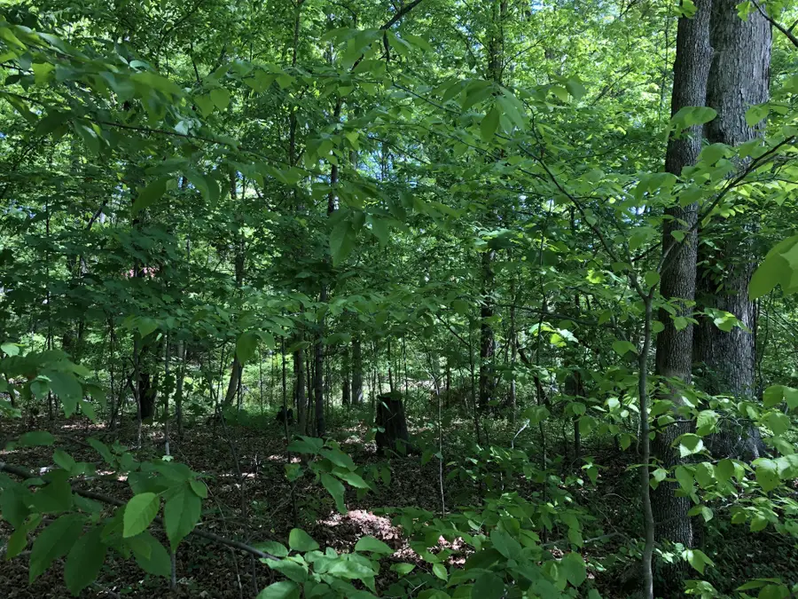 0 Devin Dr, Lawrenceburg, TN 38464 - #2