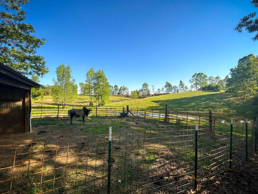 1185 Blackburn Rd, Mc Kenzie, TN 38201 - #3