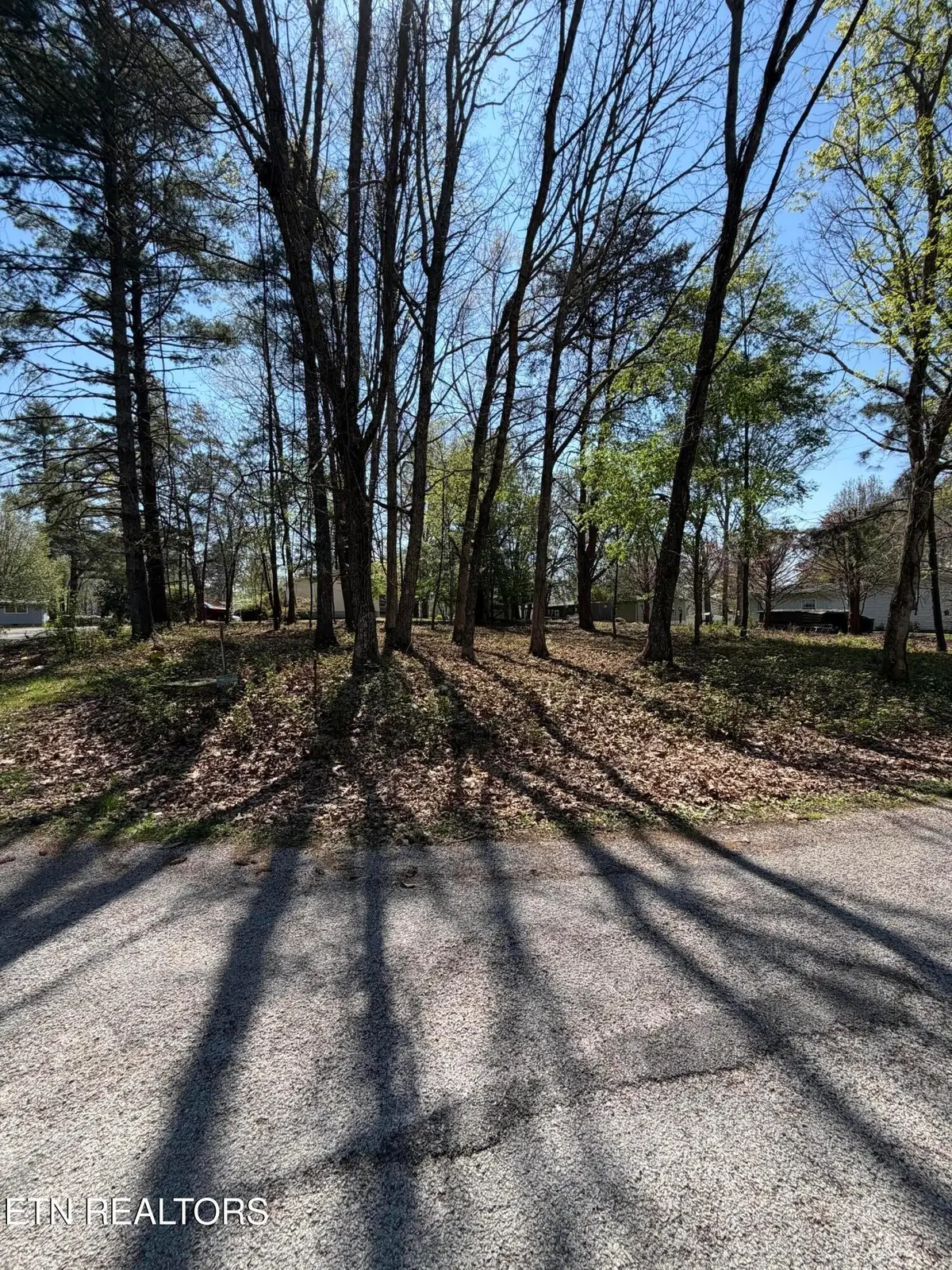 319 Dartmoor Drive, Crossville, TN 38558 - #1