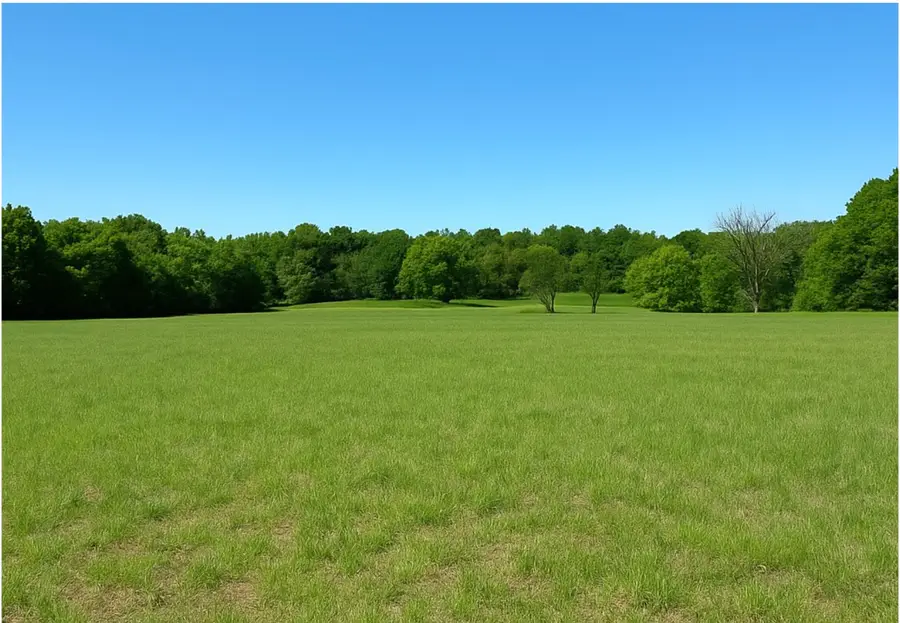 1778 Bluebird Rd, Lebanon, TN 37087 - #2
