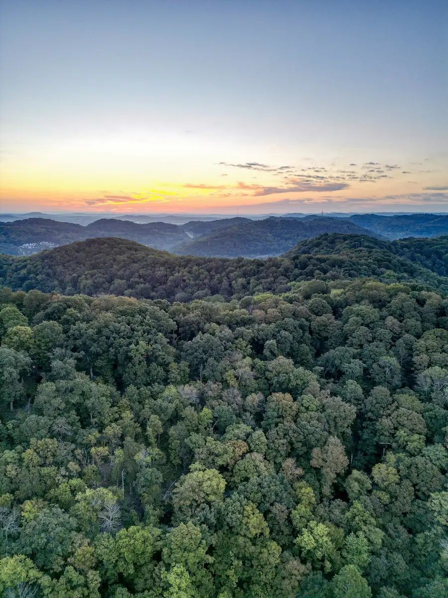 538 Beech Creek Rd S, Brentwood, TN 37027 - #3