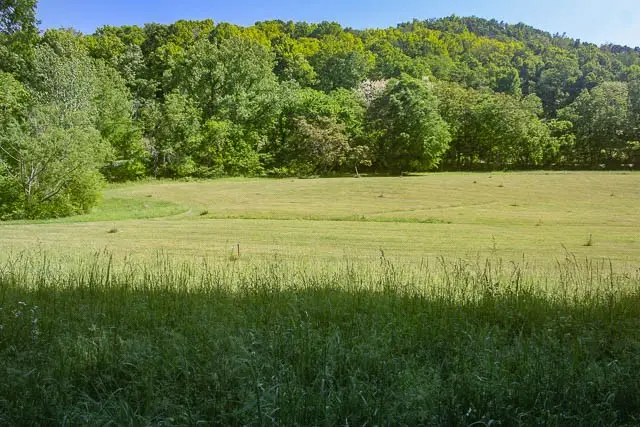 0 Harpeth Peytonsville Rd, Thompsons Station, TN 37179 - #1