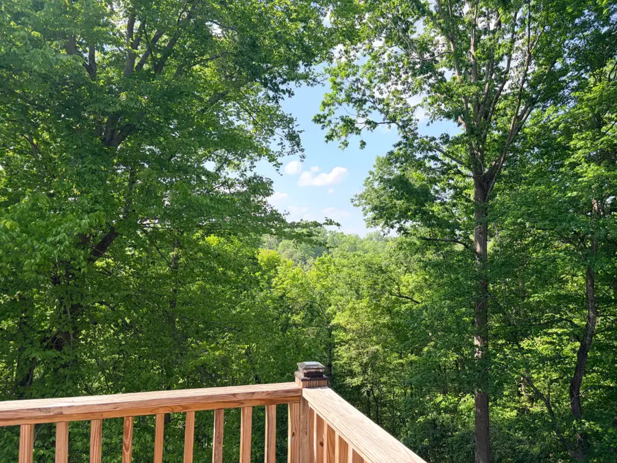 4541 Tanglewood Rd, Pegram, TN 37143 - #2