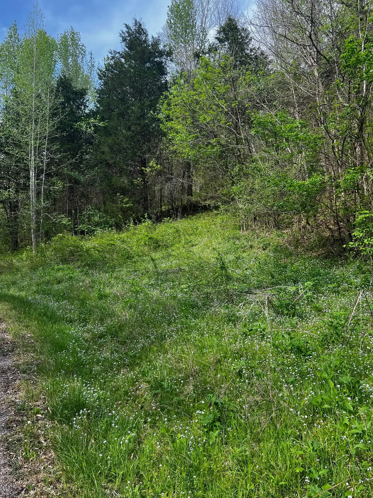 0 Weber Lane, Celina, TN 38551 - #1