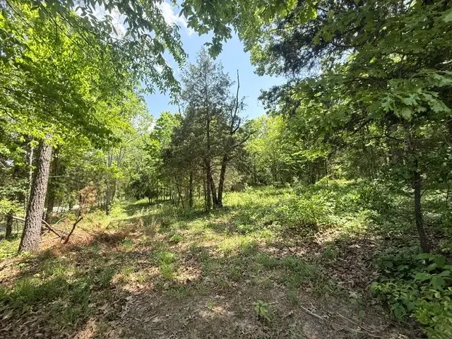 921 Eli Rd, Bon Aqua, TN 37025 - #2