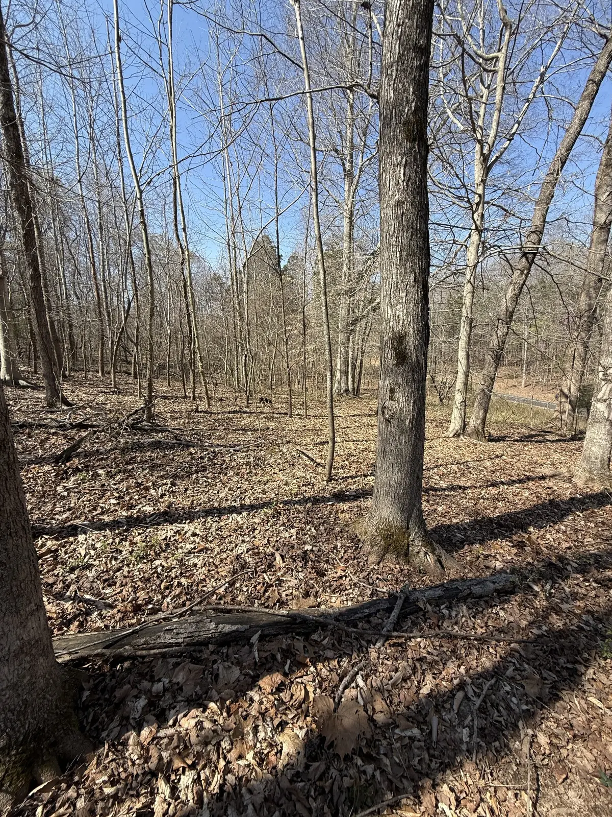 0 Brigham Branch Rd, Erin, TN 37061 - #1