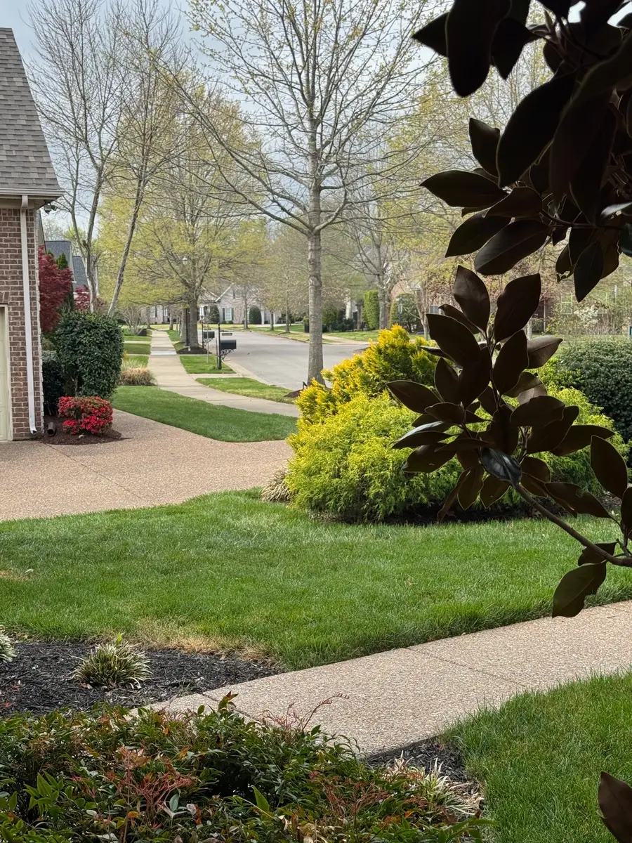 721 Springlake Dr, Franklin, TN 37064 - #3