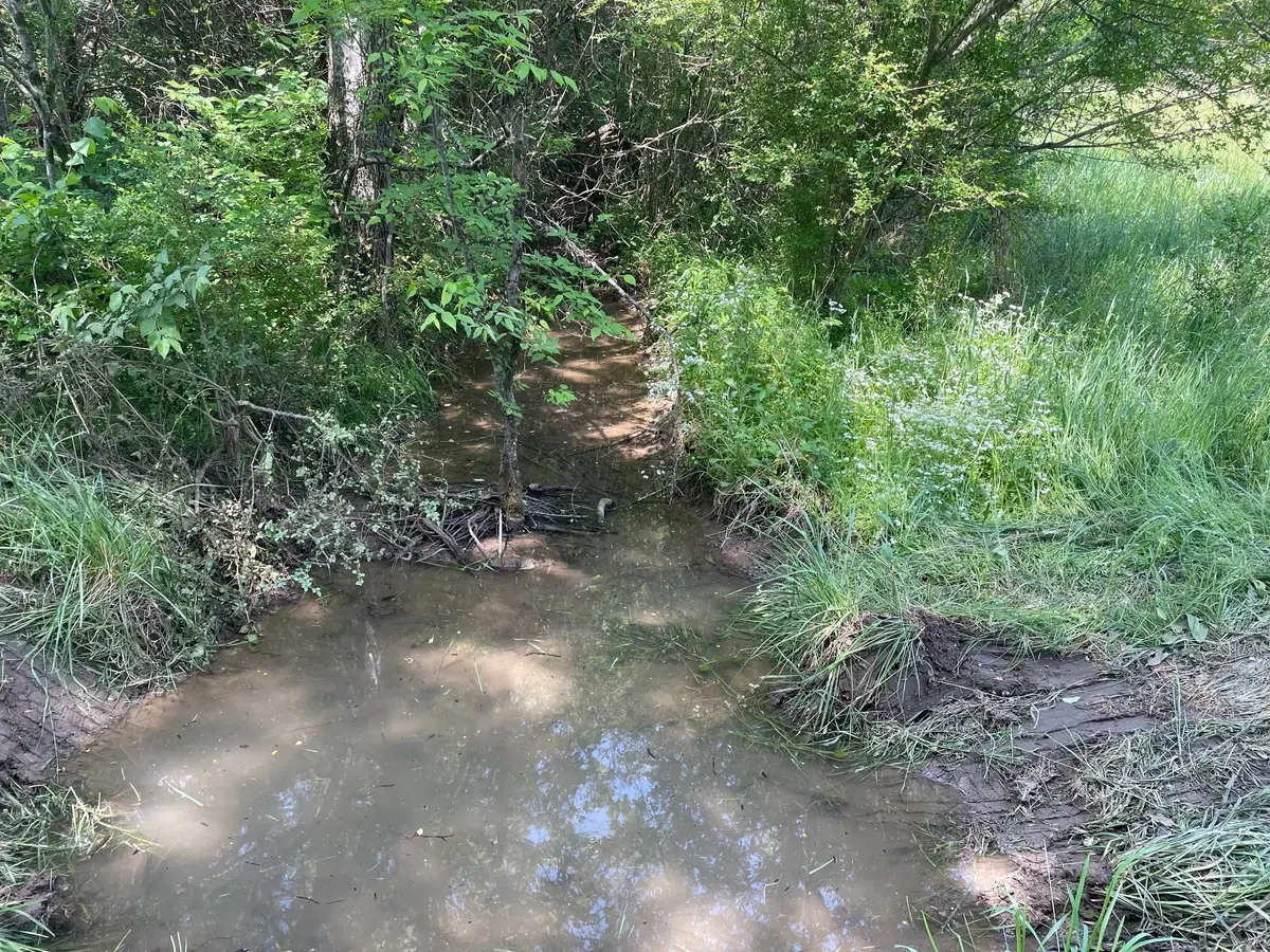 0 Maynard Lane, Columbia, TN 38401 - #1