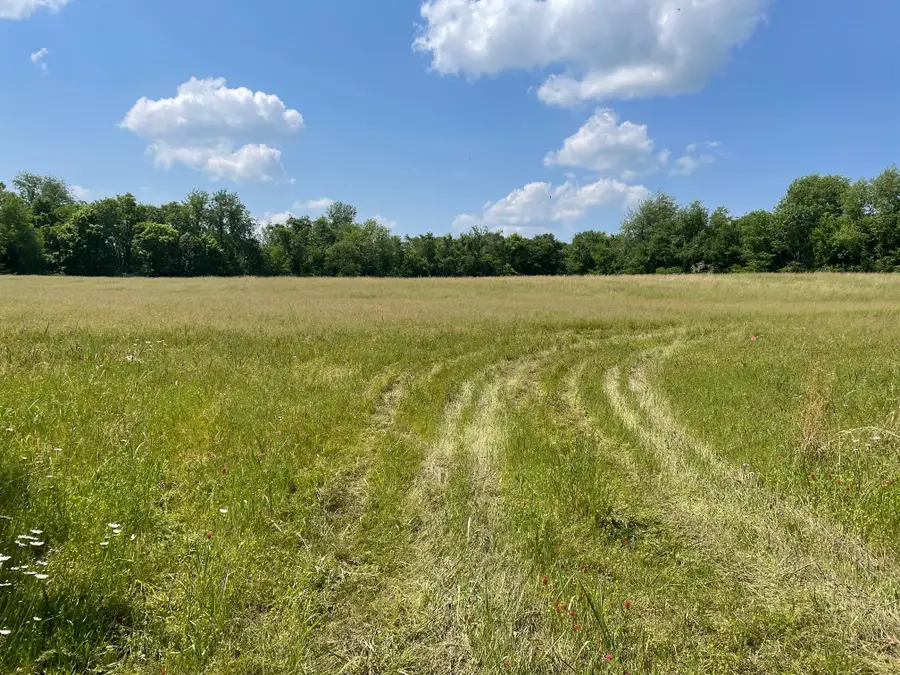 0 Maynard Lane, Columbia, TN 38401 - #2