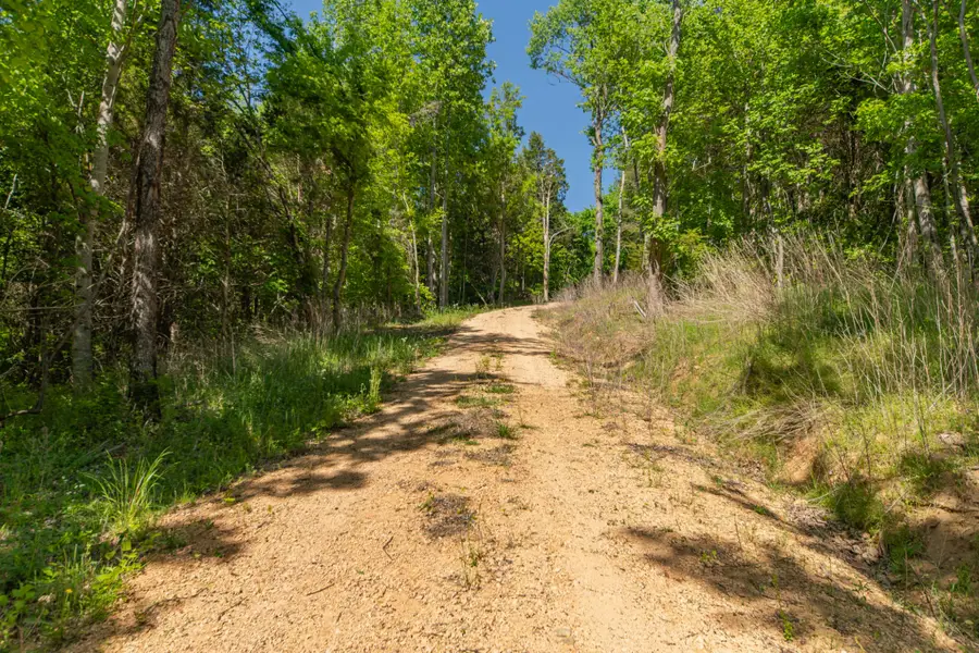 0 Globe Road, Lewisburg, TN 37091 - #3