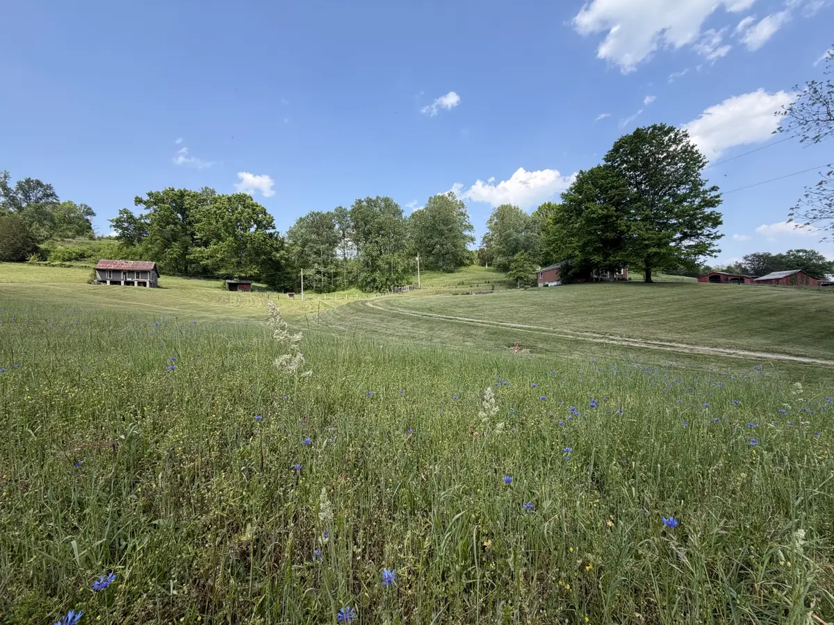 5170 Steam Mill Hollow Road, Williamsport, TN 38487 - #1