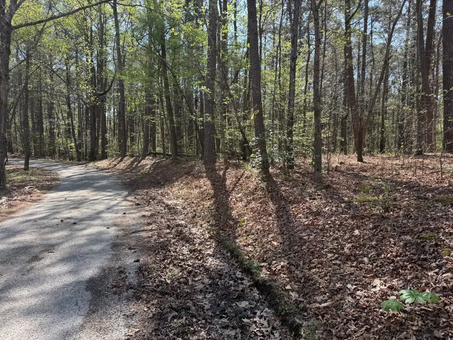 0 Sandys Camp Road, Big Sandy, TN 38221 - #3