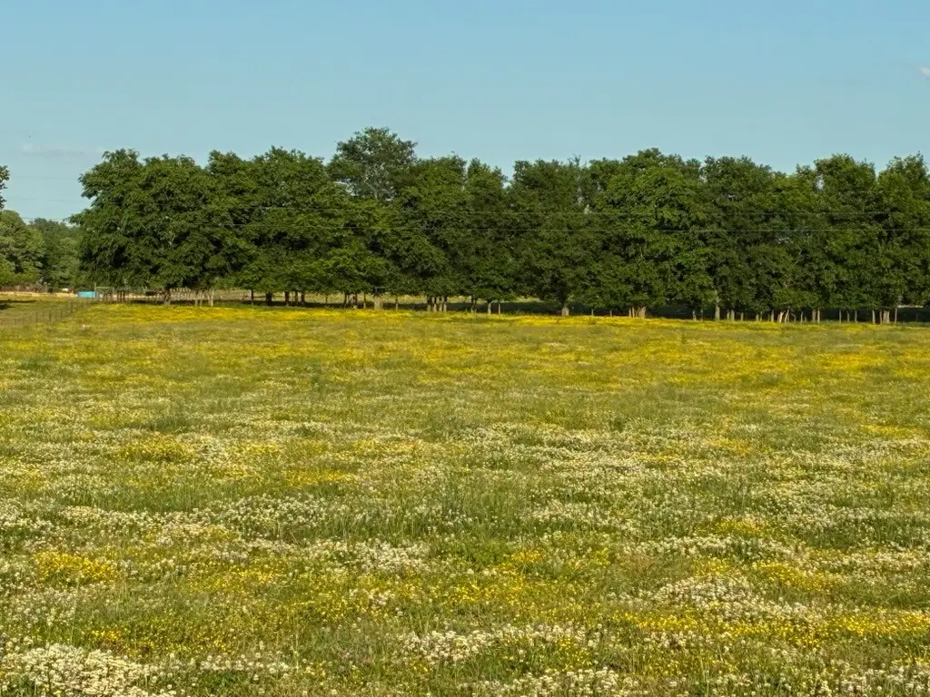 0 Dry Creek Rd, Mount Pleasant, TN 38474 - #1