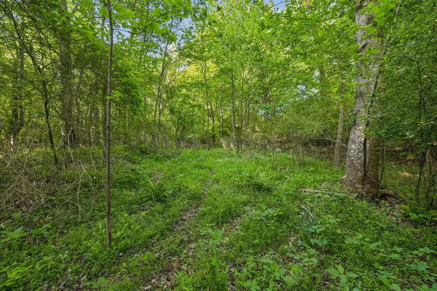 0 Rebecca West Rd, Fayetteville, TN 37334 - #3