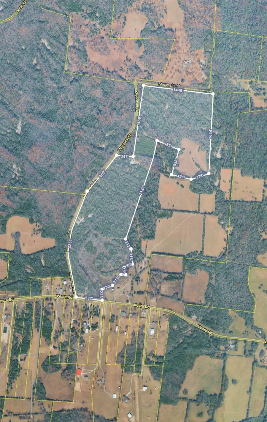 2911 Vesta Rd, Lebanon, TN 37090 - #3