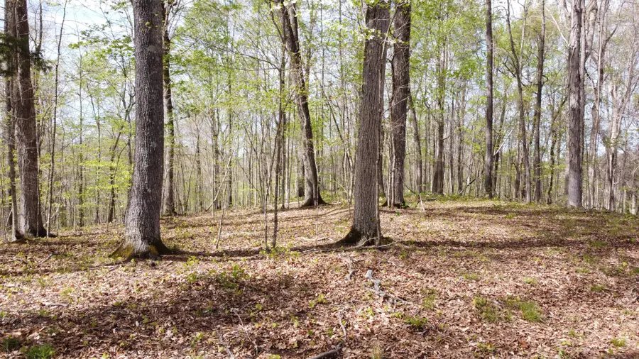 0 Off Johnson Chapel Rd, Sparta, TN 38583 - #2