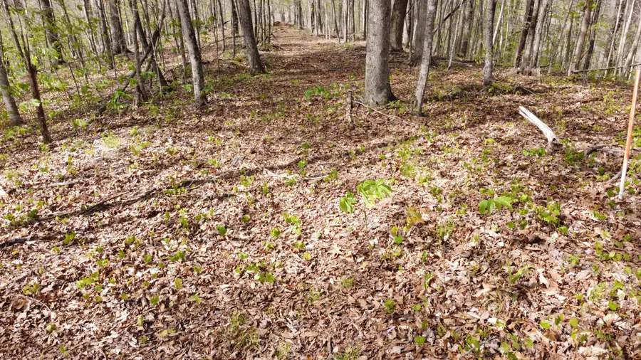 0 Off Johnson Chapel Rd, Sparta, TN 38583 - #3