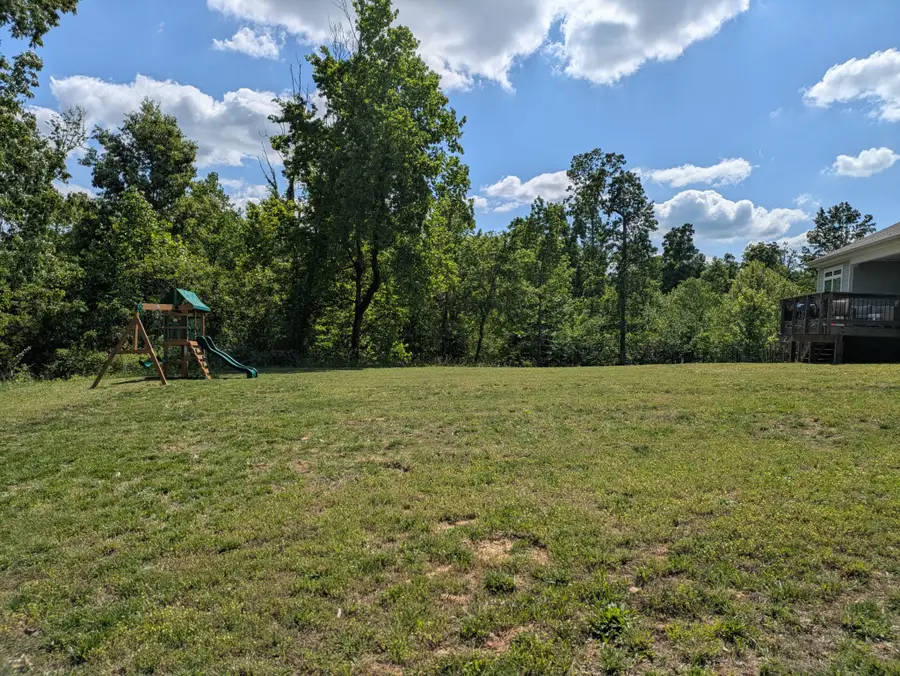 929 Frog Gip Pond Ct, Clarksville, TN 37043 - #3