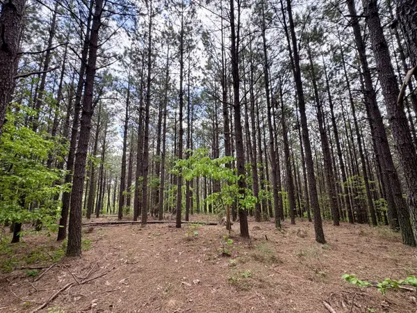 132 Rocky Top Dr, Hohenwald, TN 38462