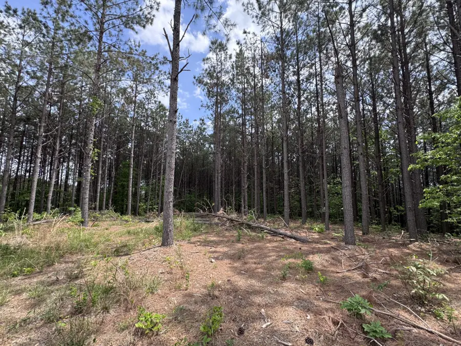 132 Rocky Top Dr, Hohenwald, TN 38462 - #2