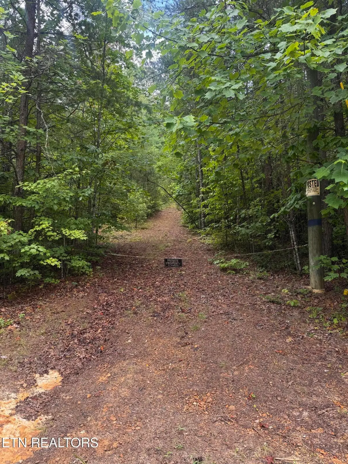 8 Bear Rd, Tallassee, TN 37878 - #1